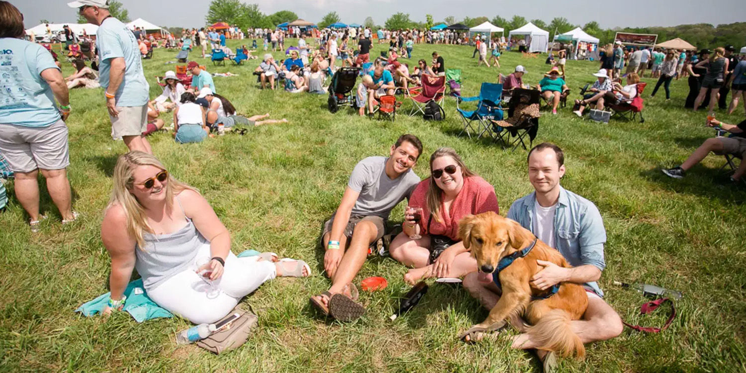 Blacksburg Cork & Fork Cobbler Mountain Cider